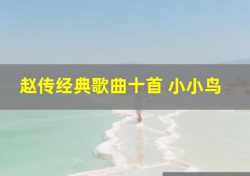 赵传经典歌曲十首 小小鸟